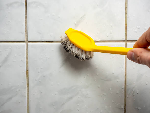 Best Emergency Mold Removal  in Sault Ste Marie, MI