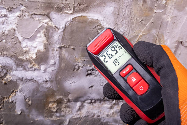 Mold Removal and Inspection in Sault Ste Marie, MI