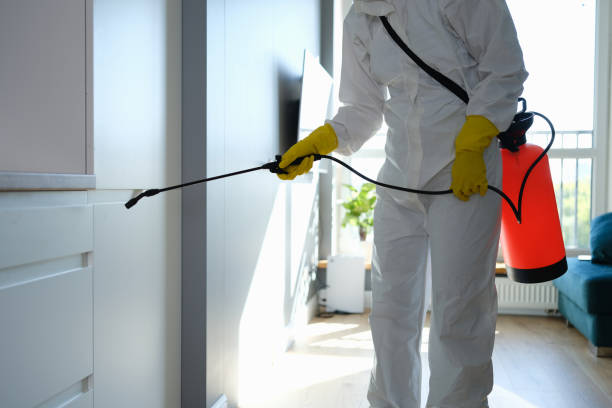 Best Professional Mold Removal  in Sault Ste Marie, MI