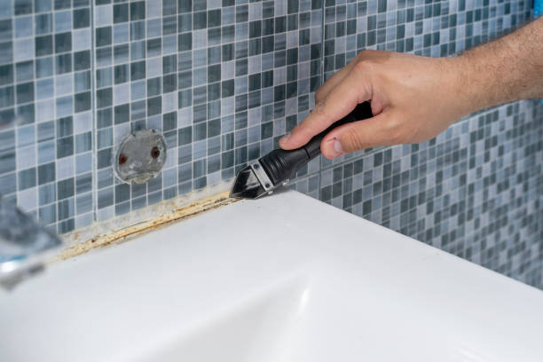 Best Toxic Mold Removal  in Sault Ste Marie, MI